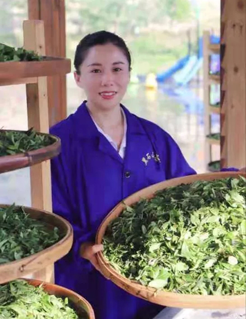 【梧州工匠】石濡菲：擇一茶，修一技，終一生