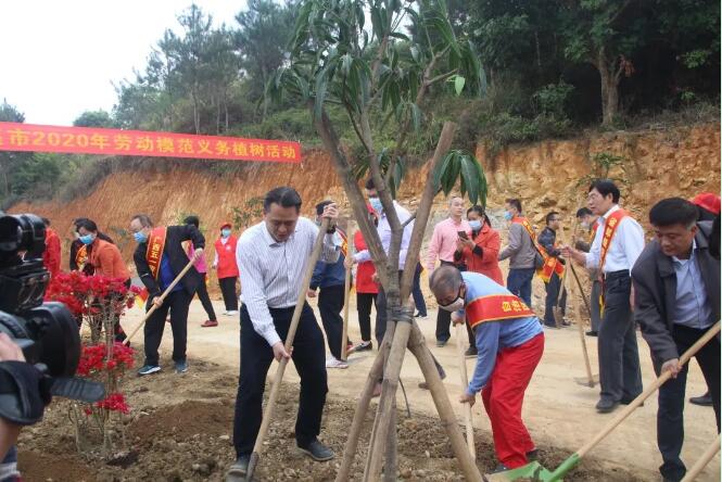 植樹造林，這群楷模這樣做