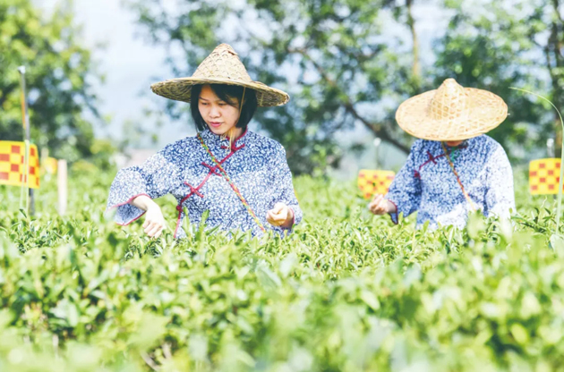 國家批復(fù)同意，梧州籌建！