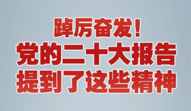 【黨的二十大】踔厲奮發(fā)！黨的二十大報(bào)告提到了這些精神