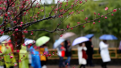 今日雨水！別忘了咱的老講究！