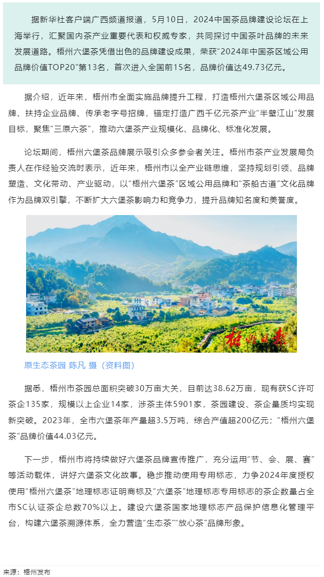 排名全國第13名！“梧州六堡茶”品牌價值實(shí)現(xiàn)新突破.png